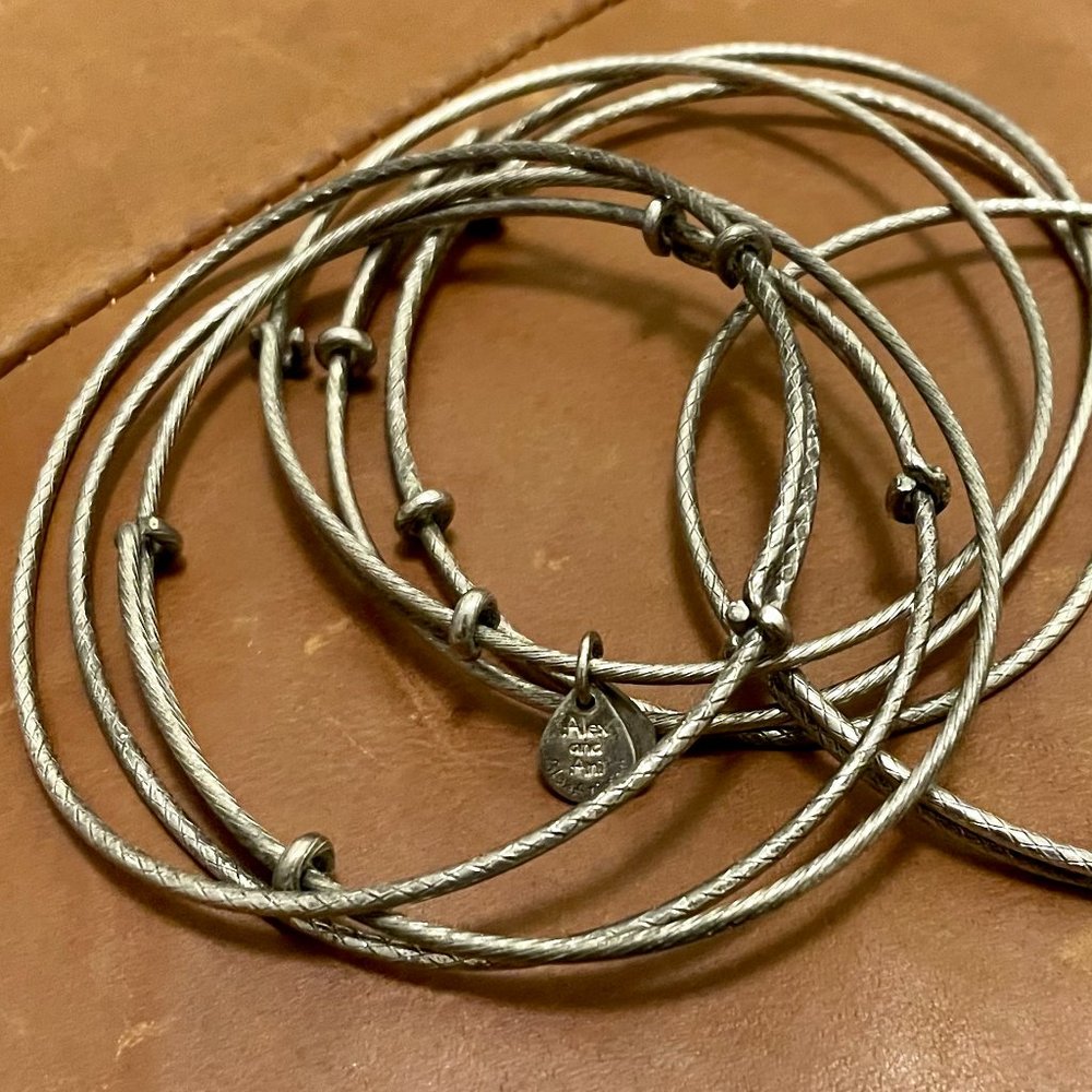 ALEX AND ANI ADJUSTABLE SILVERTONE BANGLE SET